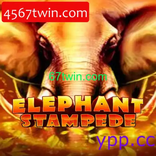 Descubra o Mundo Emocionante de ElephantStampede